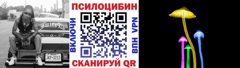 Галлюциногенные грибы Cubensis  Купить закладки  Дрезна 